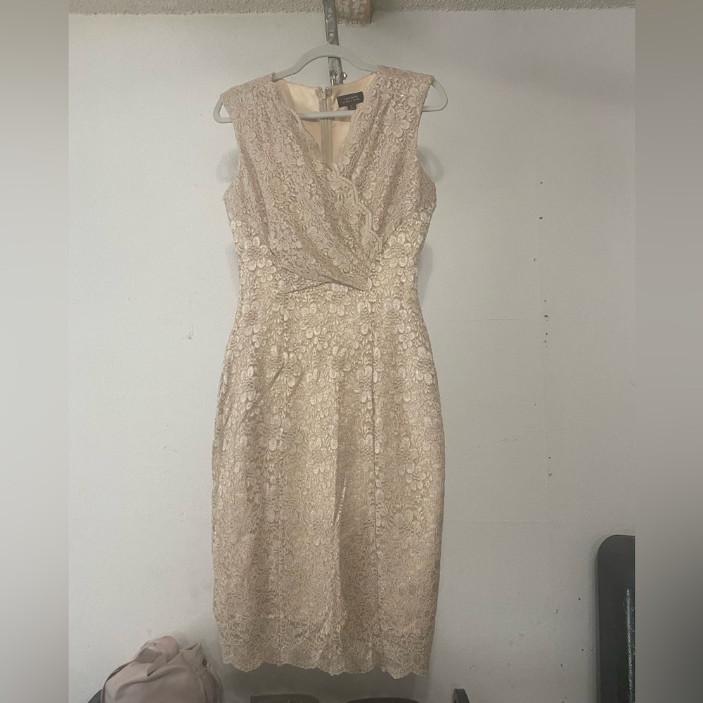 Tahari Lace Sleeveless Dress